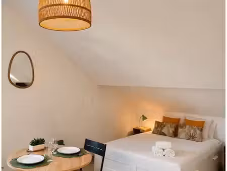 loue superbe studio très lumineux proche de ol vallée