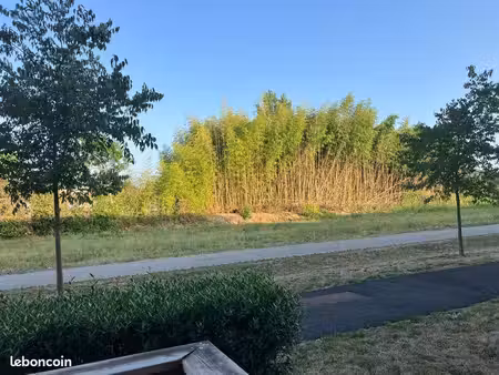 recherche maison à louer