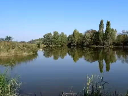 recherche petit plan d'eau secteur 31660 31340 81500 81800 pour l'usage de la pêche carpe