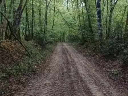 foret 6 hectares gers
