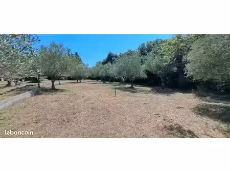 terrain 1000m2