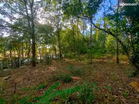 terrain constructible de 1250 m² à 25 mn des plages