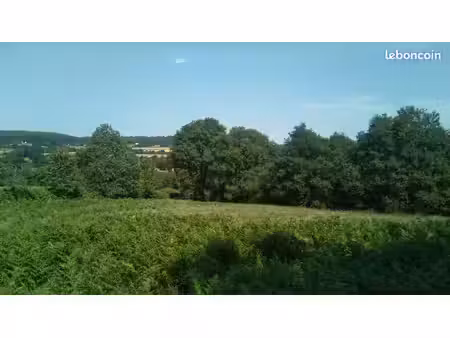terrain bois prairie