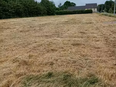 terrain à bâtir 1000 m²