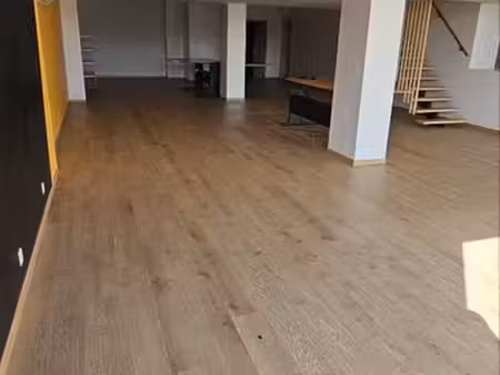 local commercial/professionnel de 265m²