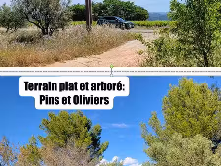 terrain agricole 6 300 m² uniquement pour projet agricole