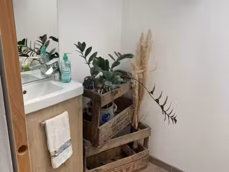 appartement au cœur de l alsace
