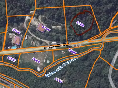 terrain constructible 4 478 m² – poggio-mezzana – à 5 min de la mer