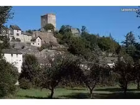 cherche maison à l'achat à chanac 48230