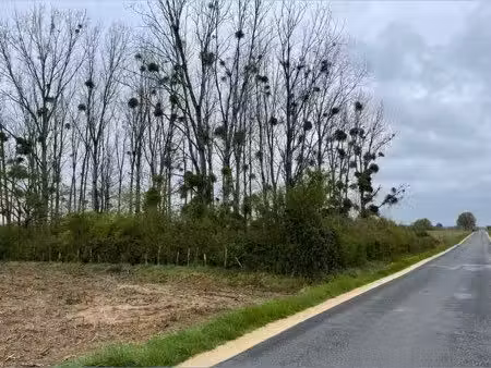 terrain de loisirs de 2370 m2 boisé de peuplier