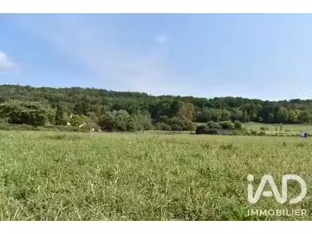 terrain à bâtir à trémolat (24510)