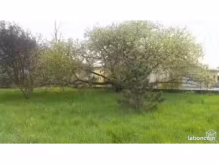 terrain constructible  plat et arboré de 1031 m² – plein sud – plusieurs accès – à 3 min à
