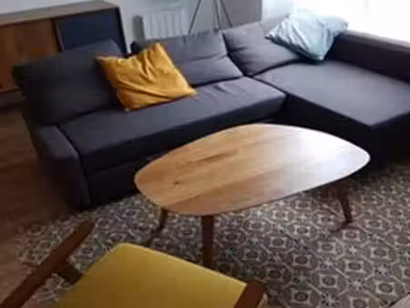 t2 meublé lumineux de 57 m² avec terrasse et jardin – hauts-pavés / place viarme