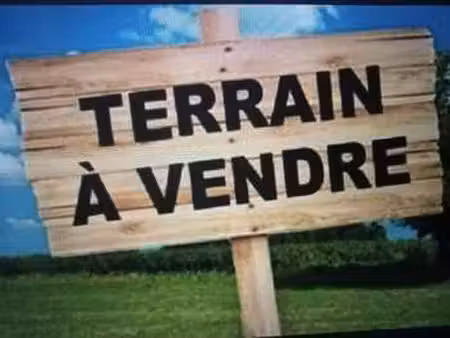 vente terrain à sallertaine (85300) : à vendre / sallertaine