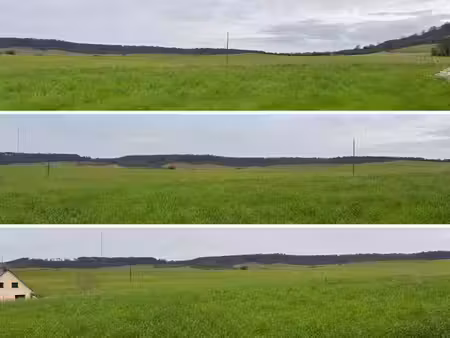 vente terrain 1000 m² à mesnières-en-bray (76270)  45 000 €