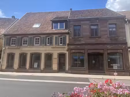 achat maison 12 pièces 454m² diemeringen 67430