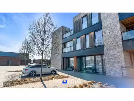 appartement te huur in maasmechelen met 2 slaapkamers