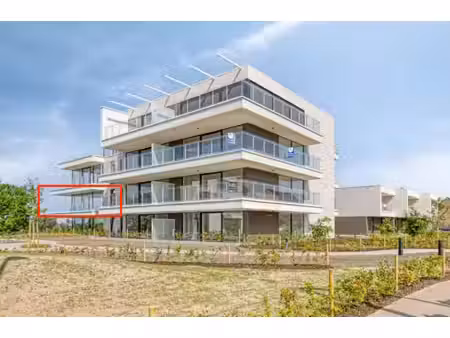 appartement te huur in bilzen met 2 slaapkamers