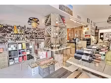 vente locaux professionnels 76 m² à mandelieu-la-napoule (06210)  275 000 €