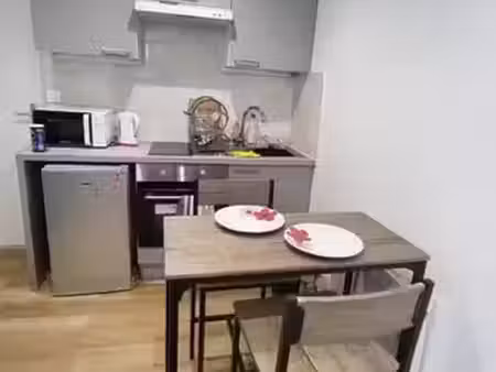 location appartement 1 pièce 18 m² à le mans (72000)