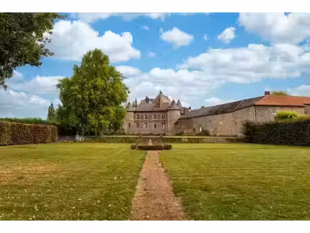 fosteau – château médiéval et son parc privé