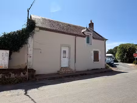 maison rénovée avec le charme de l'ancien à morogues .