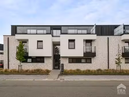 appartement récent avec grande terrasse à hamont