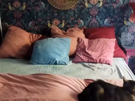 chambre à louer