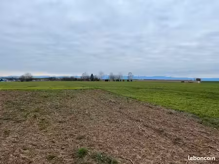 terrain 1131m² joze