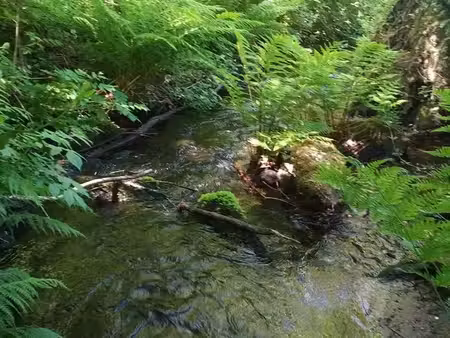 terrain de loisir