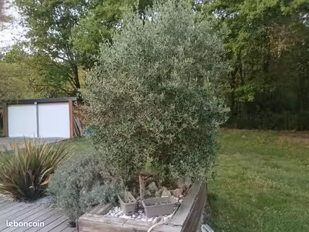 demande maison à louer