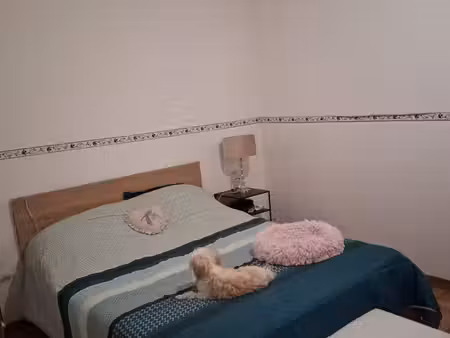f2 rez de chaussée