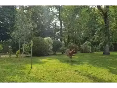 vente terrain 539 m² à moyaux (14590)  55 000 €