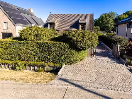maison à vendre à westerlo € 525.000 (lr1gj) - maat vastgoed & landmeten | zimmo