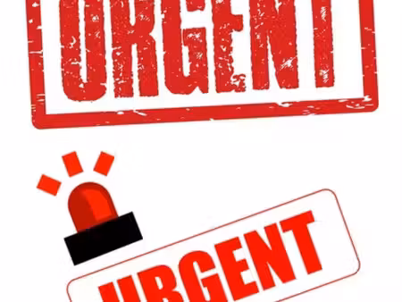 recherche urgent logement en location perpignan sud 