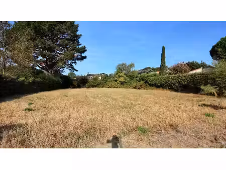 terrain constructible