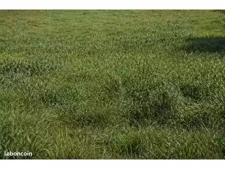 terrain 500 m² grasse
