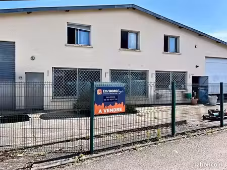 maison 900 m² peronnas
