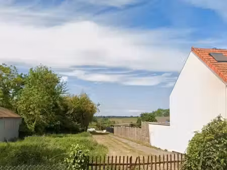 terrain constructible