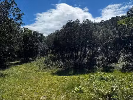 terrain 1800 m² avec pc pour 2 maisons