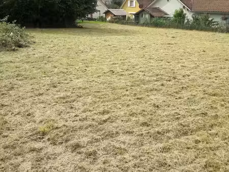 terrain à construire