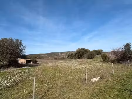 terrain agricole