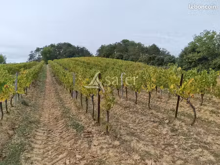 terrain 304822 m² limoux