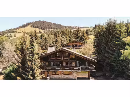 chalet avec terrasse megeve (74)