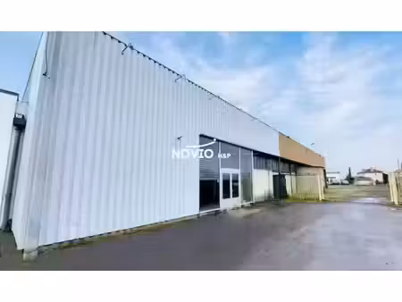 vente locaux professionnels 5 pièces 1300 m² à lussac-les-châteaux (86320)  217 200 €