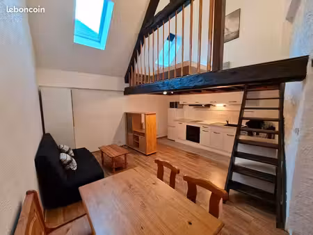 appartement atypique meublé t1 bis 35m² - centre ville vizille