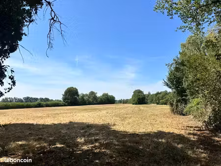 terrain pour animaux
