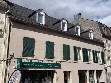 immeuble mixte – 3 appartements + local commercial + garages – idéal investisseur ou famil