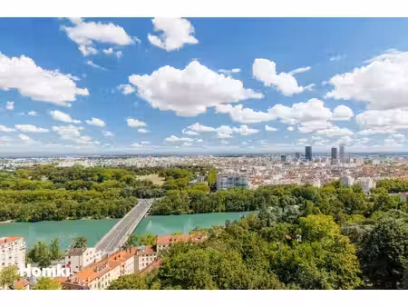 lyon 4e – rue louis thévenet un appartement suspendu entre ciel  lumière et nature