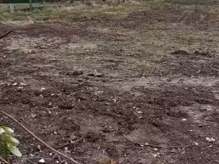 terrain constructible